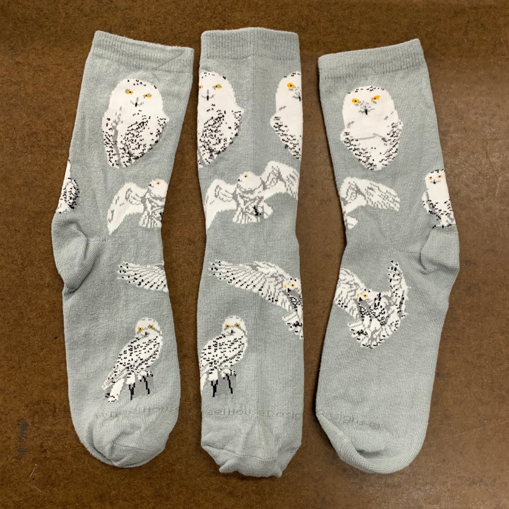 Snowy Owl Socks